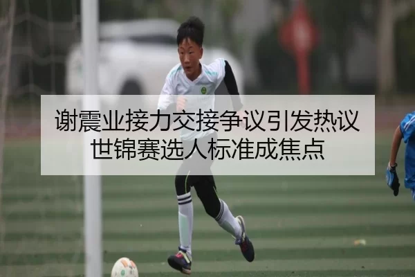 谢震业接力交接争议引发热议 世锦赛选人标准成焦点