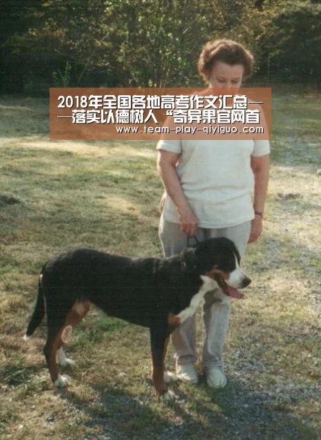 2018年全国各地高考作文汇总——落实以德树人“奇异果官网首页”(图2) 奇异果官网首页